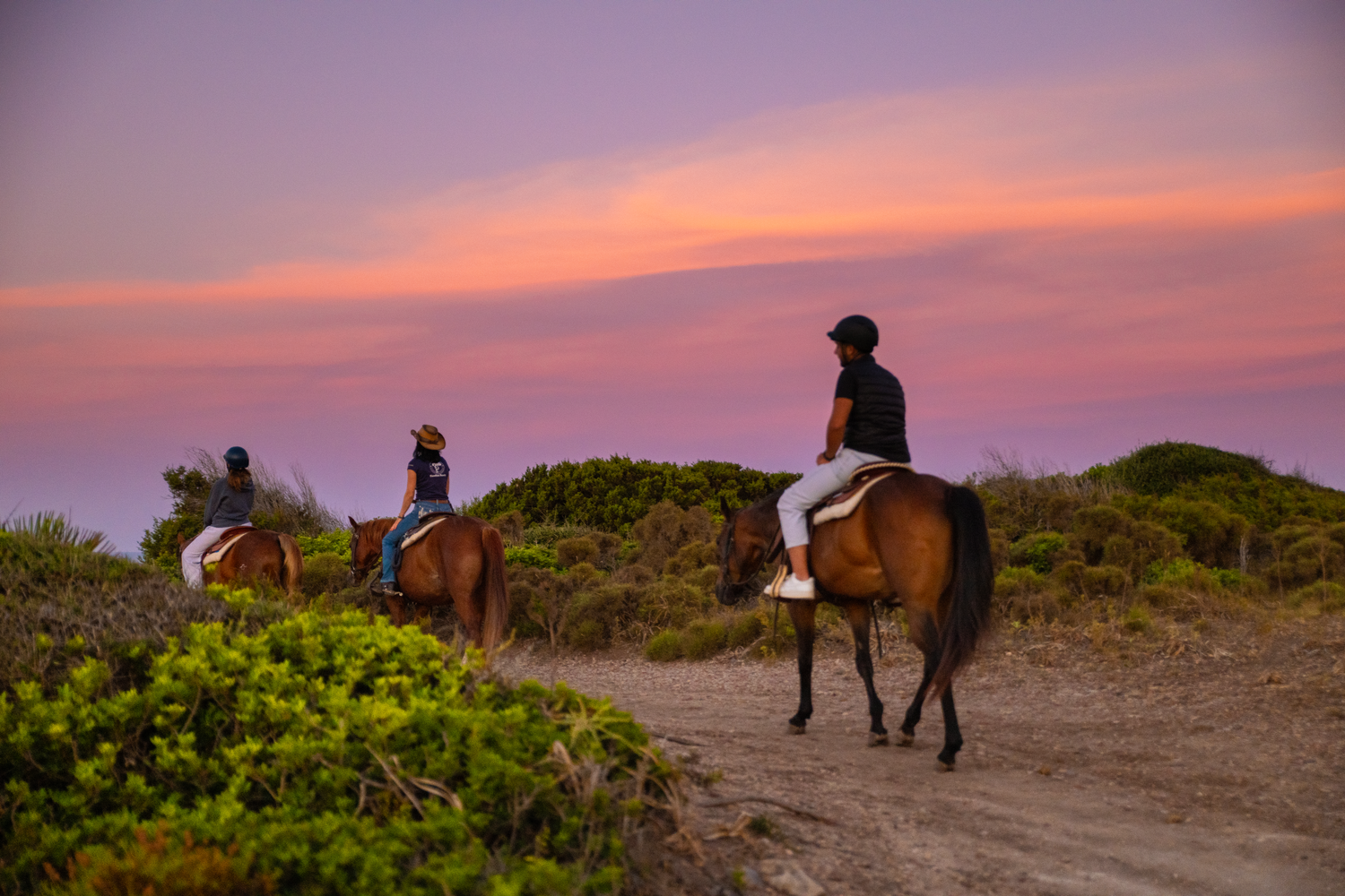 Tre cavalieri al passo sul sentiero fra la macchia, con il cielo colorato dell'alba nel sud-ovest della Sardegna