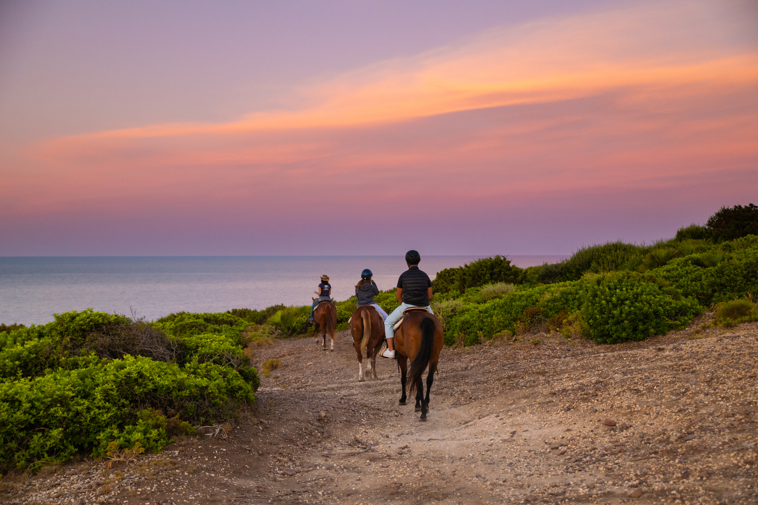 Cavalieri al passo fra la macchia mediterranea sotto il cielo rosa dell'alba, sul mare della Sardegna